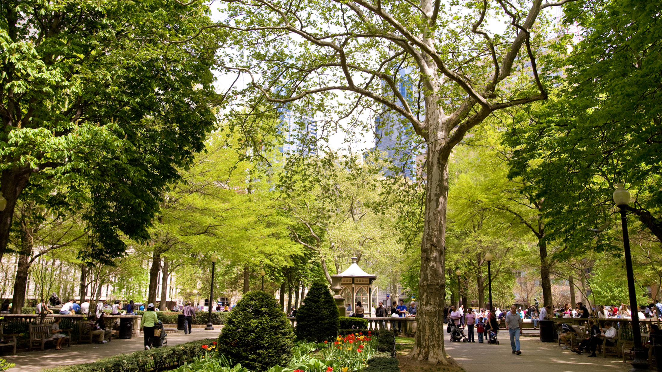 rittenhouse square with trees during day time
