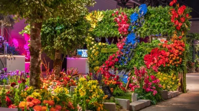 philadelphia-flower-market